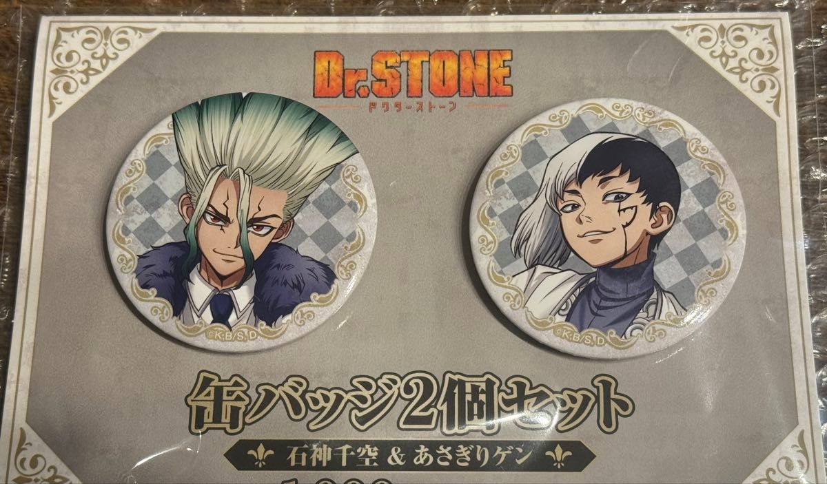 Dr.STONE 石神千空 オールスター缶バッジ 4個セット 原作 Dr.STONE 缶バッジセット（石神千空、スイカ）(石神千空、スイカ): 雑貨