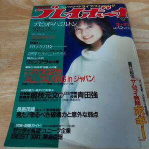 ★ジャンク本★週刊PB 昭和56年 NO12 デビット・ハミルトン 真行寺君枝 （浜田朱里ピンナップ無し）表紙折れ筋有り の画像1