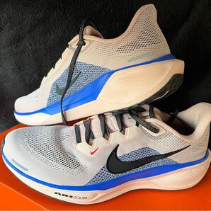 NIKE ZOOM Pegasus 41 28cm アルペン/デポ限定カラー