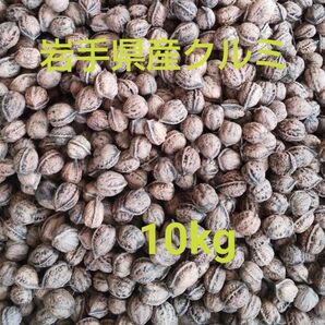 岩手県産クルミ