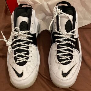 【27.5cm】新品・未使用 NIKE AIR ZOOM FLIGHT 95