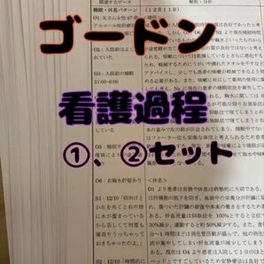 ゴードン看護過程