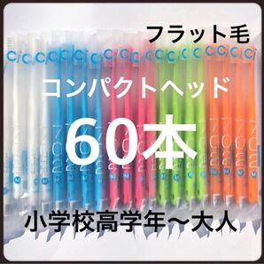 Ci702 コンパクトヘッド(フラット毛)60本 歯科医院専売歯ブラシ