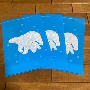 クリアファイル 北海道大学大学院獣医学研究科 まとめ売り 動物 ホッキョクグマ