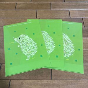 クリアファイル 北海道大学大学院獣医学研究科 まとめ売り 動物 ハリネズミ