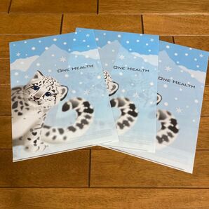 クリアファイル 北海道大学大学院獣医学研究院 まとめ売り 動物