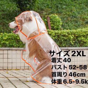 犬用レインコート カッパ 耐水性 急な雨 軽い 寒さ対策 着脱簡単 おしゃれ