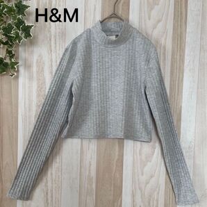 ショート丈 / ハイネック / リブ / H&M