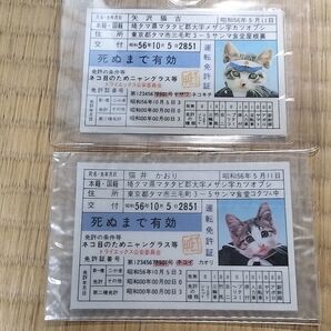 激レア!昭和レトロ なめ猫 矢沢猫吉 猫井かおり 免許証 2枚セット
