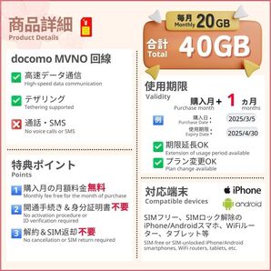 docomoプリペイドSIM 月間20GB★1ヶ月★高速データ通信SIM 格安SIM prepaid sim card