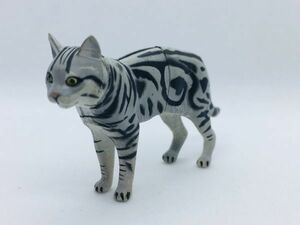 アメリカンショトヘア　フォールド　ねこ　ネコ　猫　フィギュア　日本　生き物　生物　動物　ミニチュア　36