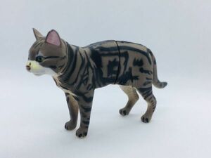 アメリカンショートヘア　フォールド　ねこ　ネコ　猫　フィギュア　日本　生き物　生物　動物　ミニチュア　19