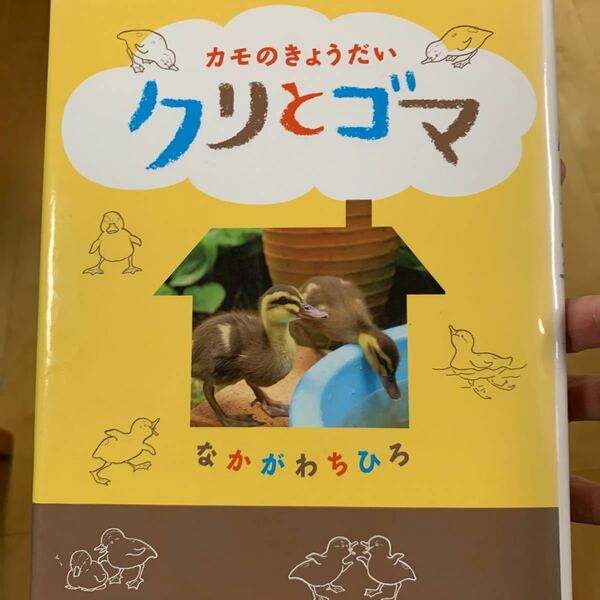 カモのきょうだいクリとゴマ /アリス館/中川千尋 (単行本) 中古