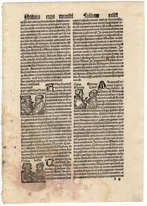 1497年 シェーデル ニュルンベルク年代記 木版画 インキュナブラ ラテン語版