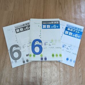 【新品未使用】私国立中受験 新演習 算数 小6下 問題集 ワークブック 塾教材