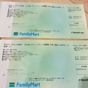 熊本グリーンランドチケット 子供入園券