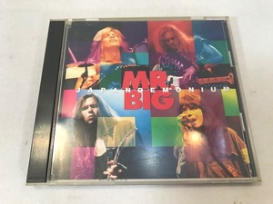 MR.BIG / JAPANDEMONIUM album CD used 