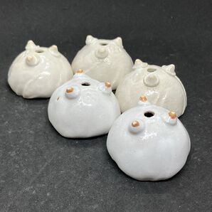 多肉植物ミニ盆栽鉢5.0、シュガースノーホワイト2種5点セット