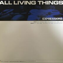 LP ALL LIVING THINGS / EXPRESSIONS [PUNK HARDCORE]_画像2