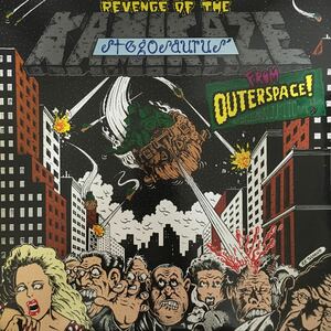 LP V.A / REVENGE OF THE KAMIKAZE STEGOSAURUS [PUNK HARDCORE]