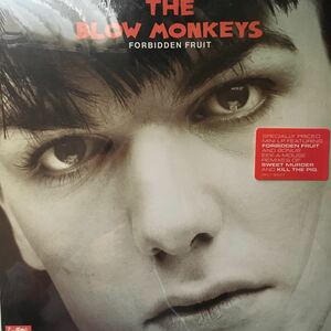 12inch THE BLOW MONKEYS / FORBIDDEN FRUIT