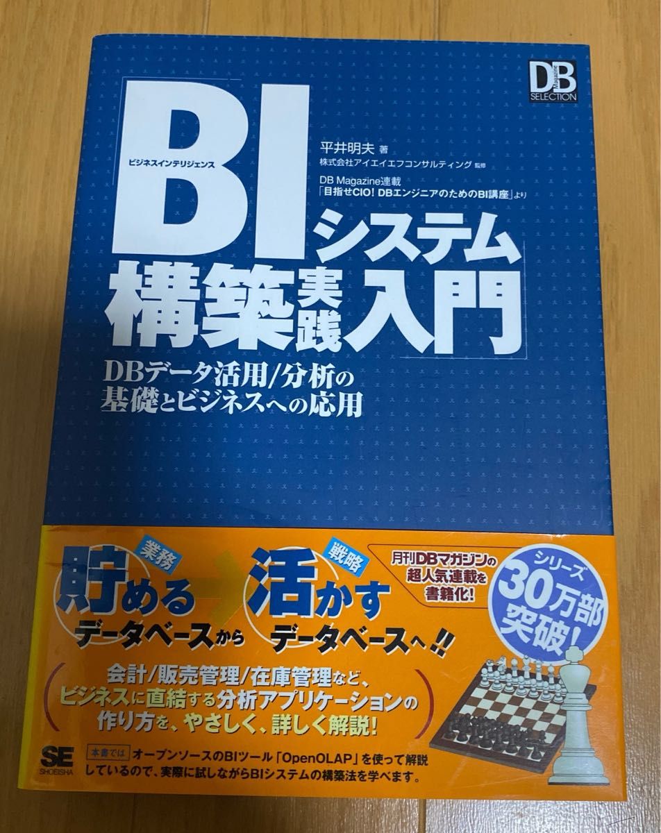 ＢＩシステム構築実践入門　ＤＢデータ活用／分析の基礎とビジネスへの応用