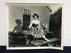 女優『パイパー・ローリー/Piper Laurie』ポートレート　スチール写真　六切りサイズ　約25cm×約20cm