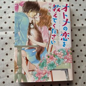 オトナの恋を教えてください (ベリーズ文庫 す2-5) 砂川雨路/著