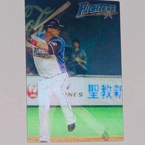 レア 中田翔 3Dカード 2014プロ野球チップス ラッキーカード景品