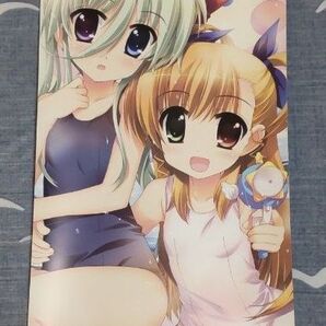 * レア * 魔法少女 リリカルなのは vivid 付録 お風呂 ポスター 2枚入り なのは フェイト ヴィヴィオ アインハルト