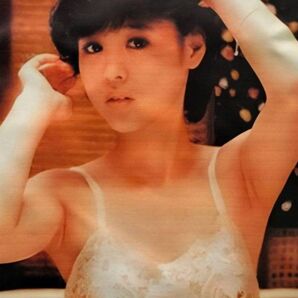 松田聖子 tシャツ 歌手 アイドル 昭和レトロ 白 ホワイト 美人 美女 セクシー sexy L〜XL