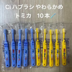 歯科医院専用歯ブラシ キッズ歯ブラシ Ci503 トミカ