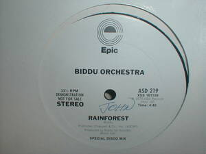 Biddu Orchestra - Rainforest 12 INCH