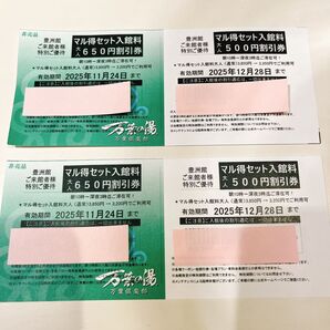 万葉倶楽部 マル得セット入館料 割引券 4枚セット