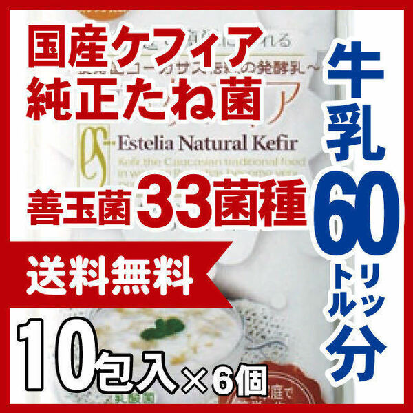 スーパーヨーグルト　６０リットル分　たね菌【メ直】2201