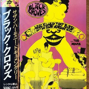 ブラック・クロウズ『サザン・ハーモニー』