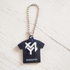 GLAY メンバープロデュースTシャツアクキーコレクション