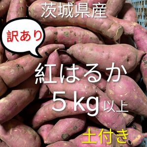茨城県産さつま芋訳あり紅はるか