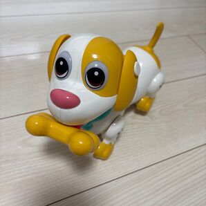【訳あり】 FUNDOG 犬 おもちゃ