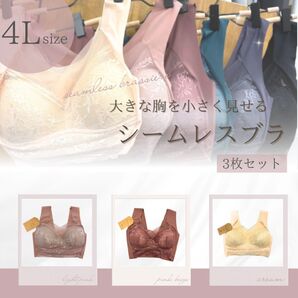 【SALE】シームレスブラ3枚セット 4L 3XL 着痩せ ノンワイヤー ナイトブラ 小さく見せる 伸縮性 レース 美乳 快適