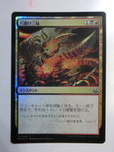 【MTG】★Foil　穴開け三昧　日本語1枚　モダンマスターズ2017　MM3　コモン_画像1