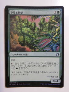 【MTG】★Foil　草茂る胸壁　日本語1枚　アイコニックマスターズ　IMA　アンコモン