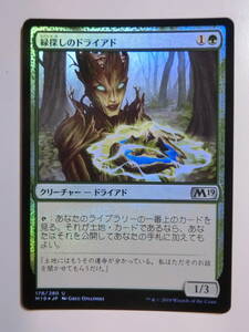 【MTG】★Foil　緑探しのドライアド　日本語1枚　M19　アンコモン