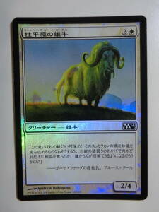 【MTG】★Foil　柱平原の雄牛　日本語1枚　M14　コモン