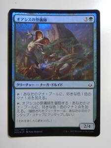 【MTG】★Foil　オアシスの祭儀師　日本語1枚　破滅の刻　HOU　コモン