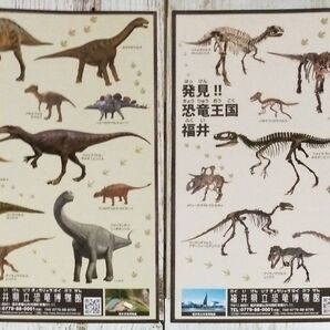 福井県立恐竜博物館 シール 2枚セット 2シート 恐竜 ステッカー ティラノサウルス フクイサウルス フクイティタン 骨格 化石