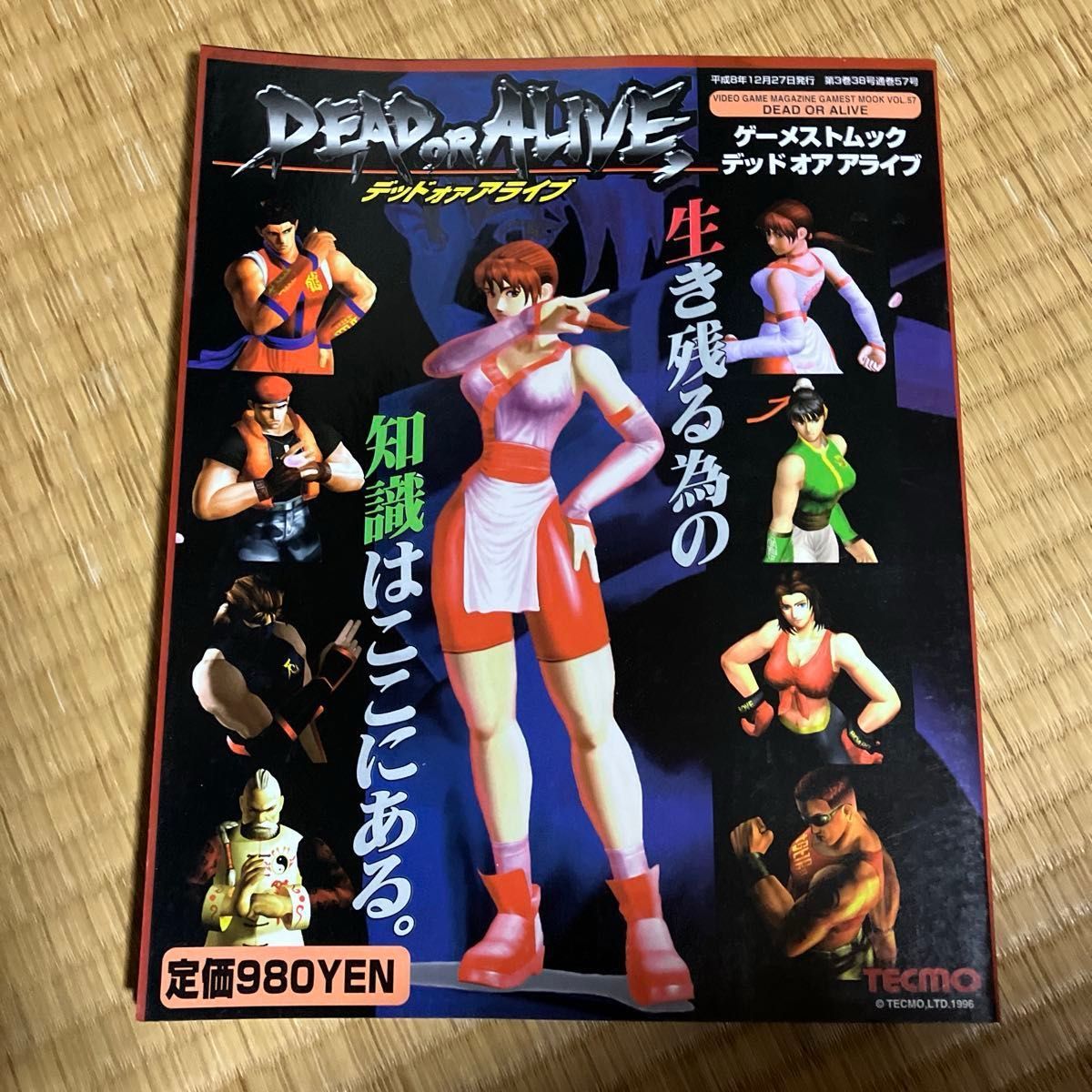 デッドオアアライブ　ゲーメストムック　攻略本