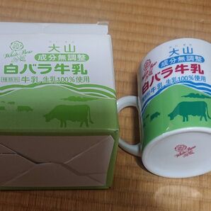 未使用保管品 白バラ牛乳 マグカップ 大山 乳業農業協同組合 箱も付属 限定品