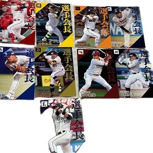 プロ野球チップス 2024 選手会長 9枚セット 大城卓三 中野拓夢 堂林翔太 柳裕也 清水昇 中村奨吾 外崎修汰 杉本裕太郎