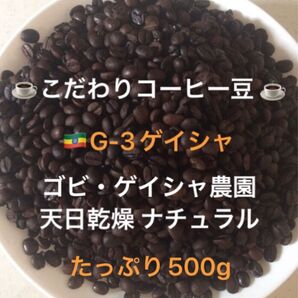 こだわりコーヒー豆 モカゲイシャG-3 たっぷり500g 中深煎り 自家焙煎 ナチュラル 天日乾燥 ゴビゲイシャ農園